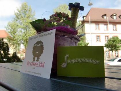 Foto: Suppenplantage